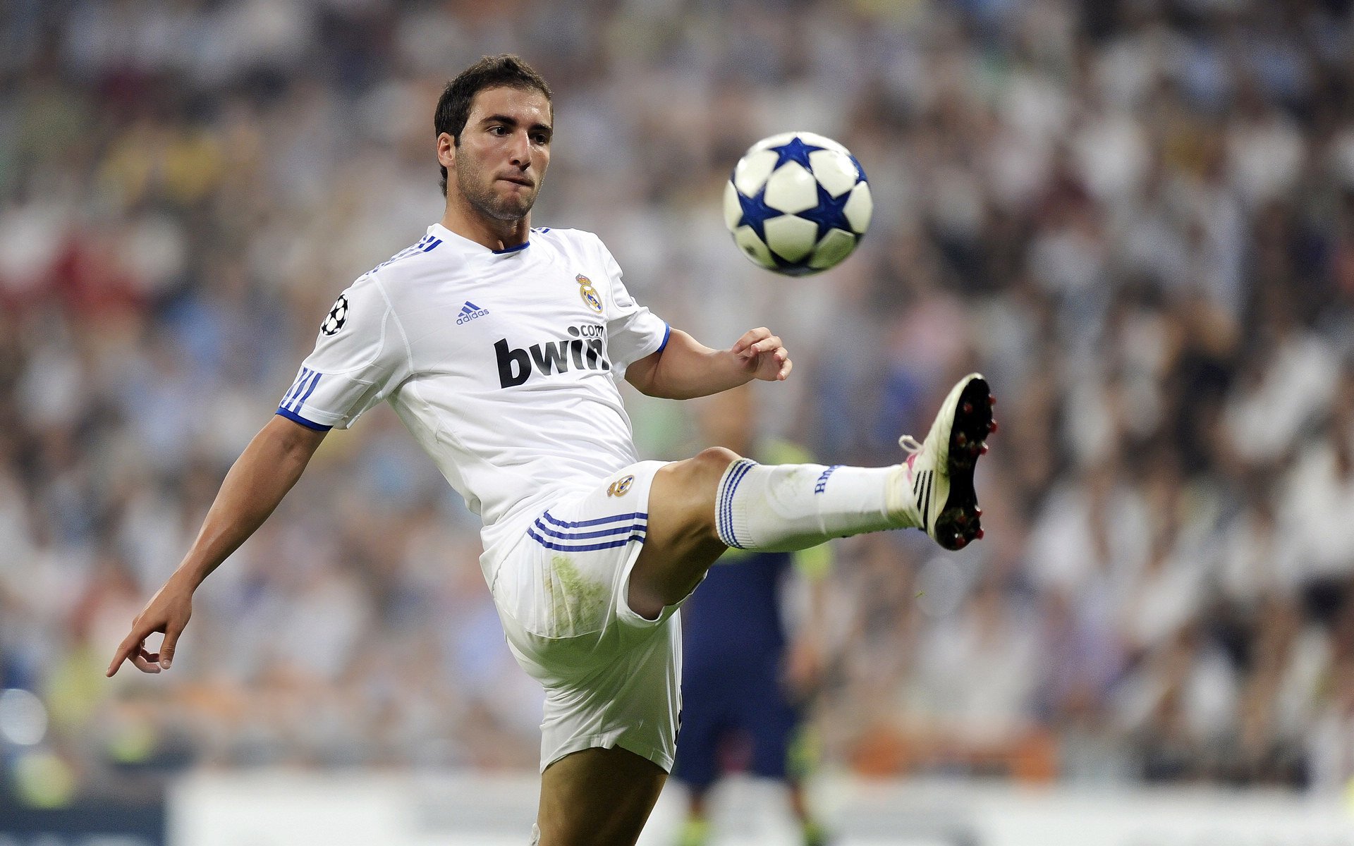 “德甲夺冠形势近乎白热化，夺冠悬念待揭晓”，德甲球队夺冠次数排名